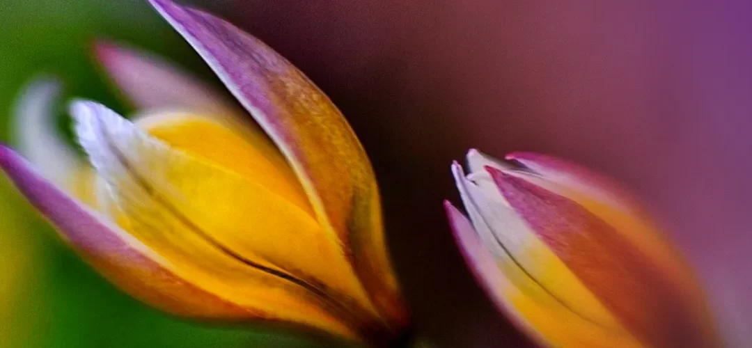 Himmlische Unterstützung